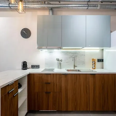 Apartment Loft Industrial Ideal Parejas *